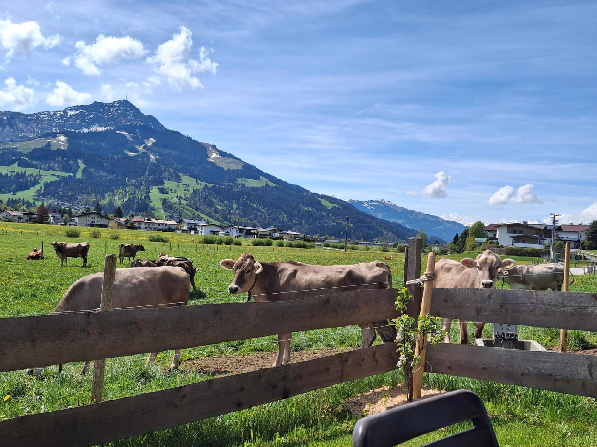 Lampererhof Villa St. Johann in Tirol Eksteriør billede