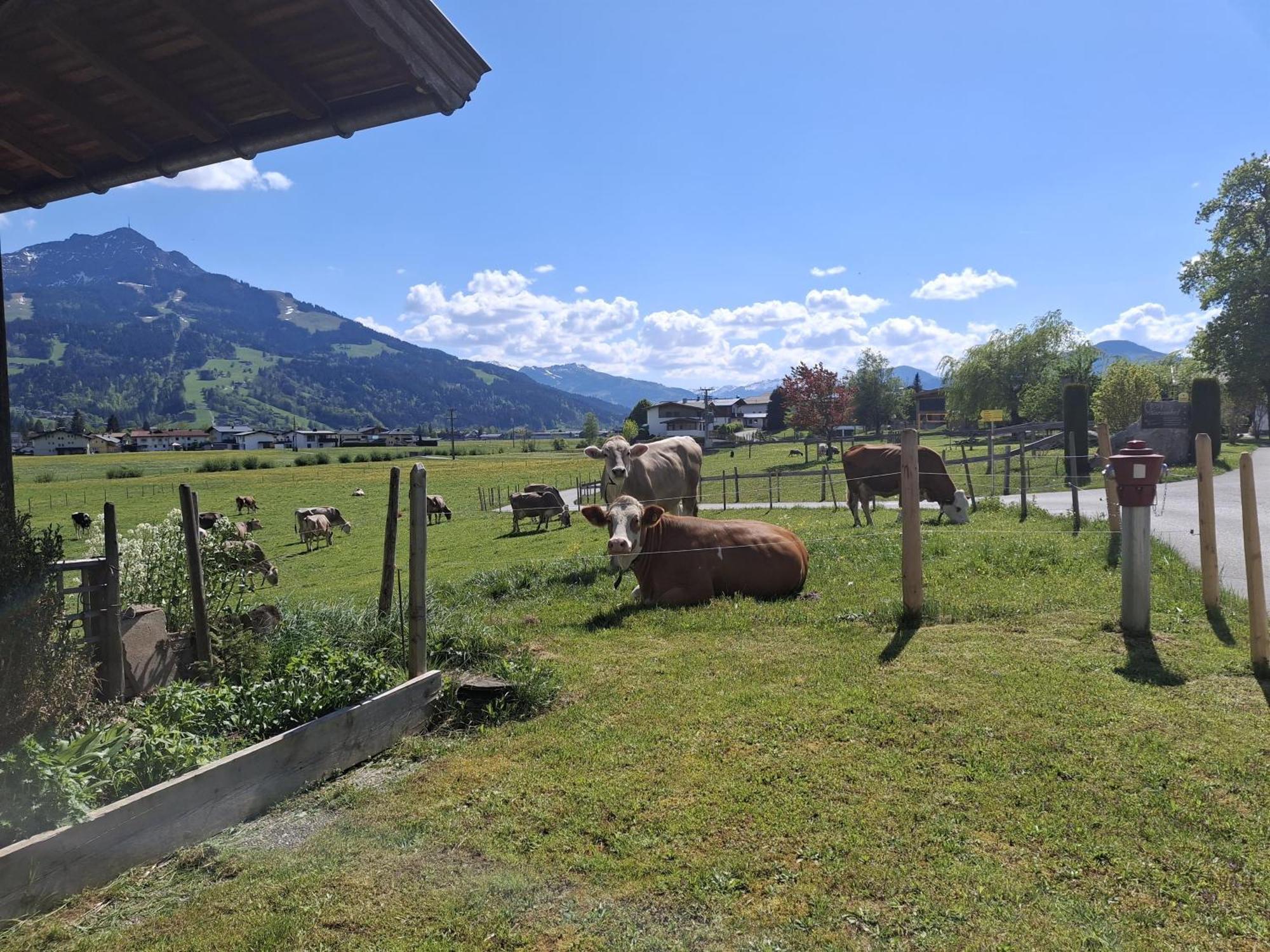 Lampererhof Villa St. Johann in Tirol Eksteriør billede